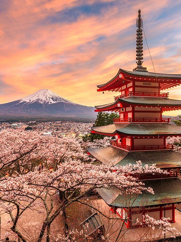 tokyo-japan.jpg